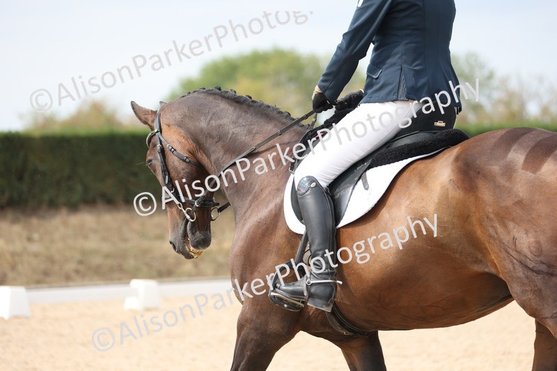 20250819-1407 - Class 4 - Novice 2