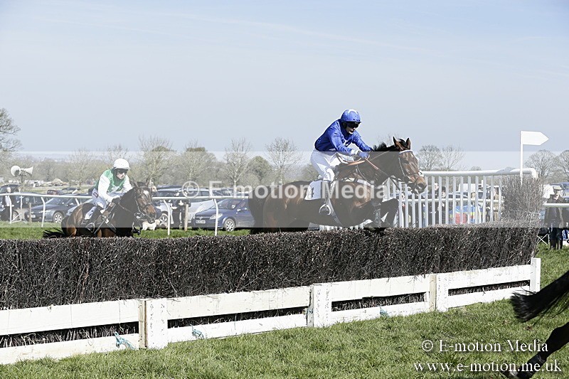 PtP 260317 96 - Mendip Farmers Point-to-Point Ston Easton 26/03/17