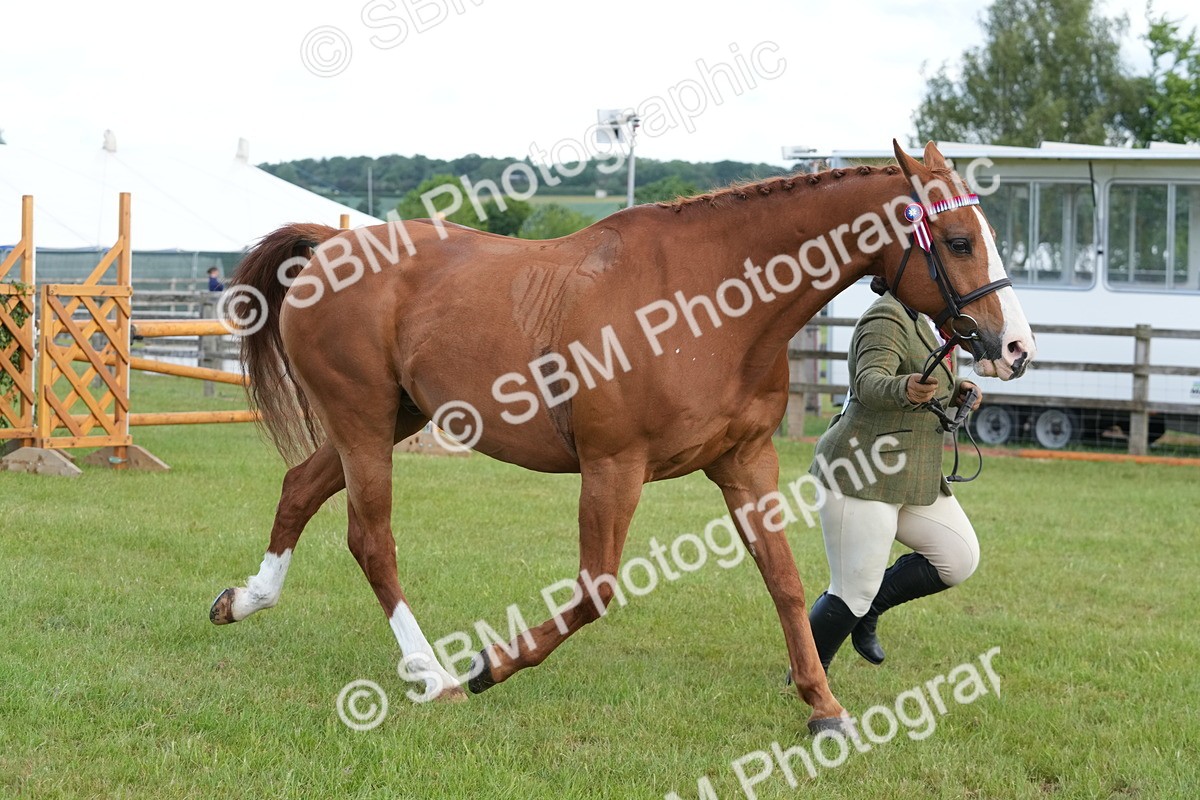 SBM_12957 - Class 99 - RIHS SEIB Working Show Horse