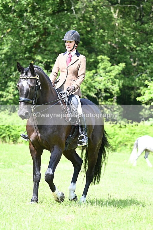 WJ7_1102 - Class 11 Condition & Turnout
