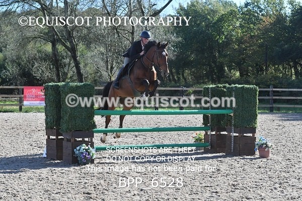 BPP_6528 - CLASS 8 Equiyd 1.05m Amateur Championship Qualifier