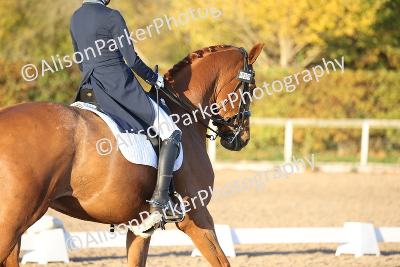 20251102-1569 - Class 12 - PSG