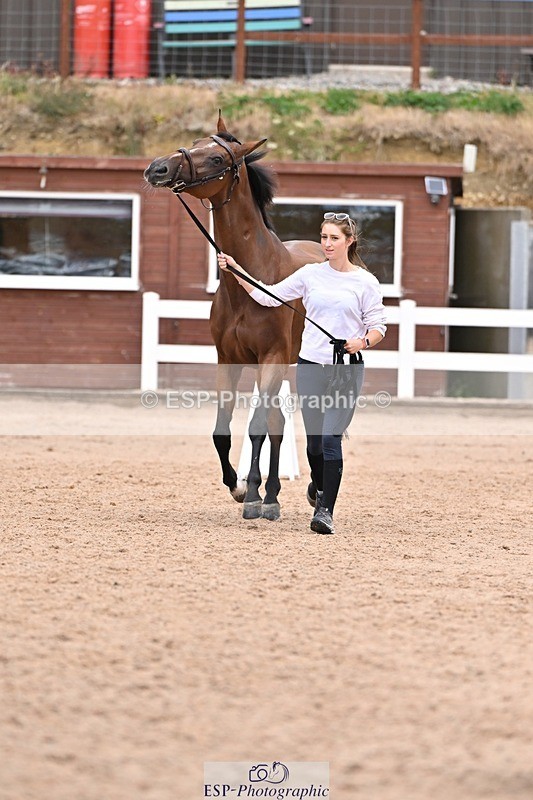 250716-141818-01000 - Trot Up 1.30 to 2.30