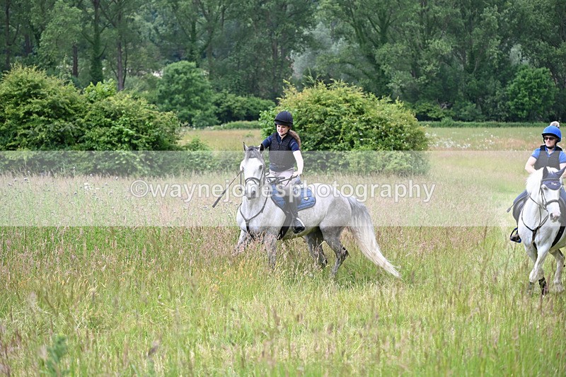 WJ6_7949 - Camera 1 Gallops