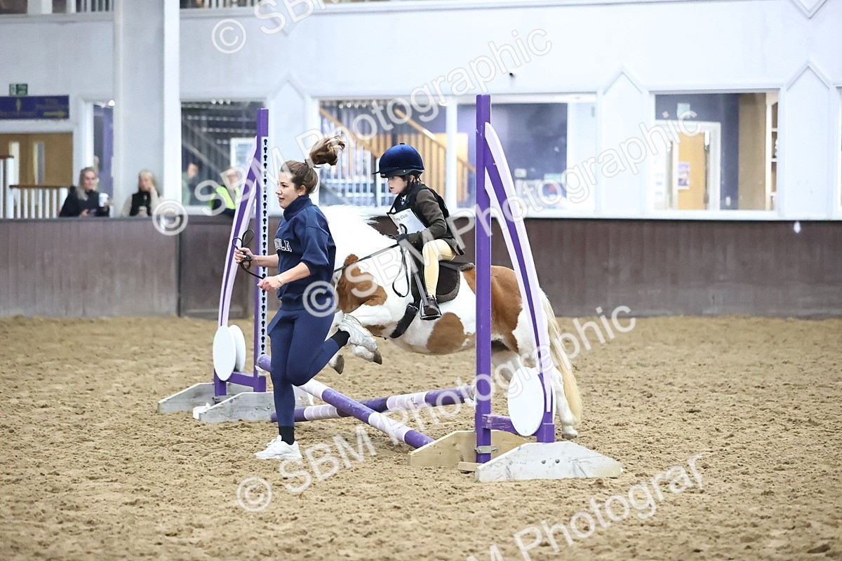 SBM_000024 - Class 1 - Fox Farriers 30cm