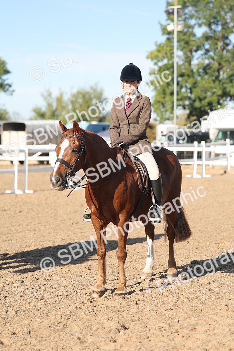 SBM_11048 - Class 302 - Ridden M&M Large Breeds