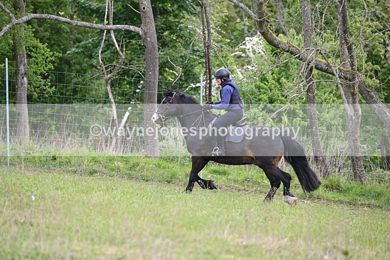 WJ6_1450 - Group 3 A&B Cameras