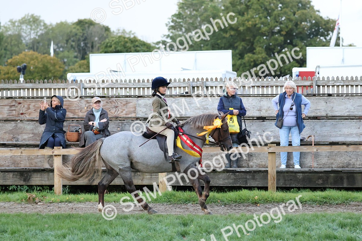 SBM_53433 - Super Supreme Championship (Sat)
