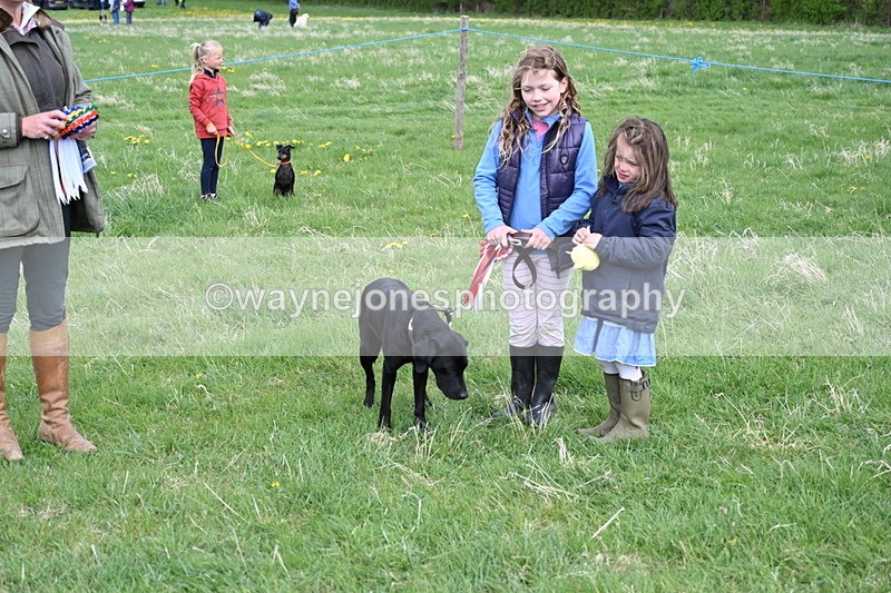 WJ6_8159 - Class 2 Best Pedigree