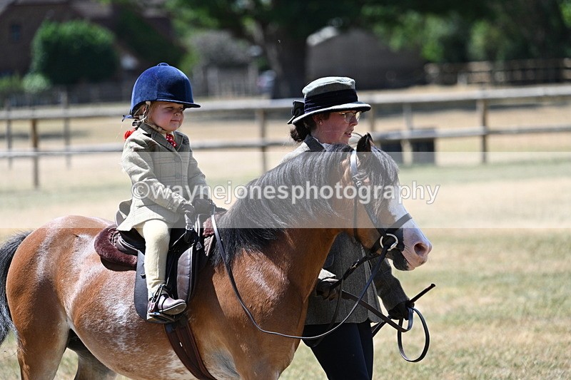 WJ7_2562 - Class 6 Ridden Mountain and Moorland