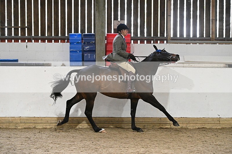 WJ7_4312 - Class 17 Ridden Cob