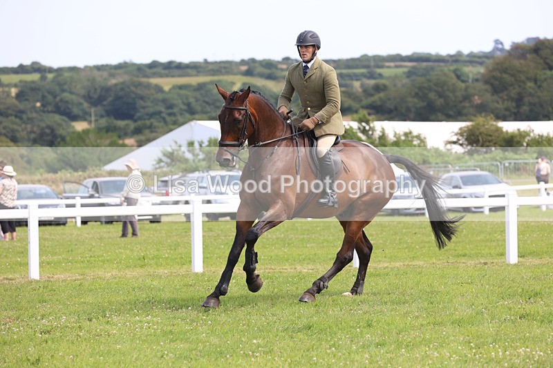 JPP_3769 - Class 23: Working Hunter 80cm