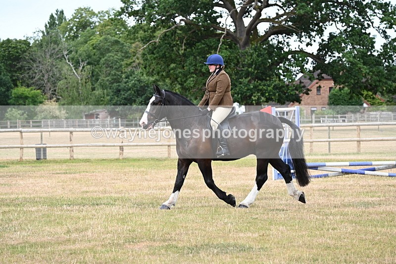 WJ6_3866 - Class 9 Tack & Turnout