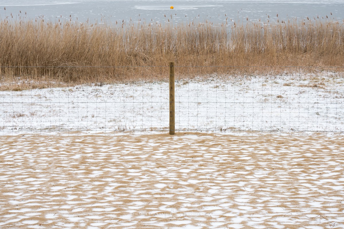 A thousand frozen footsteps. - WINTER