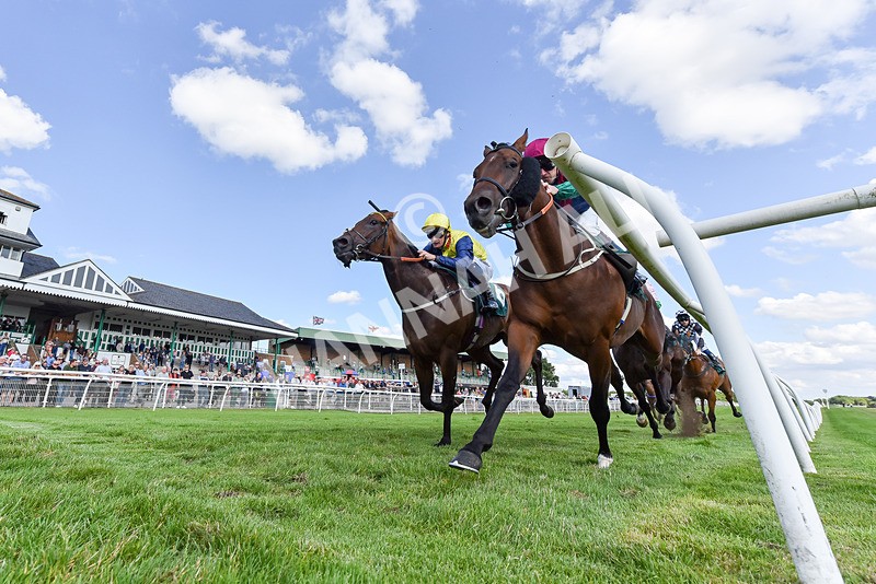 160725-Race 5-Chuti Manika-7465 - Race 5