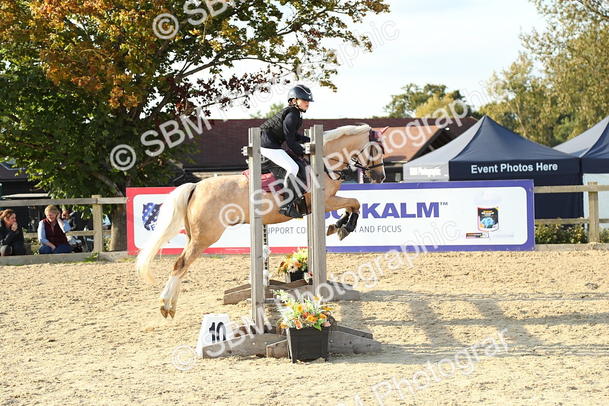 SBM_53635 - J8 - Junior Pony 65cm Championship