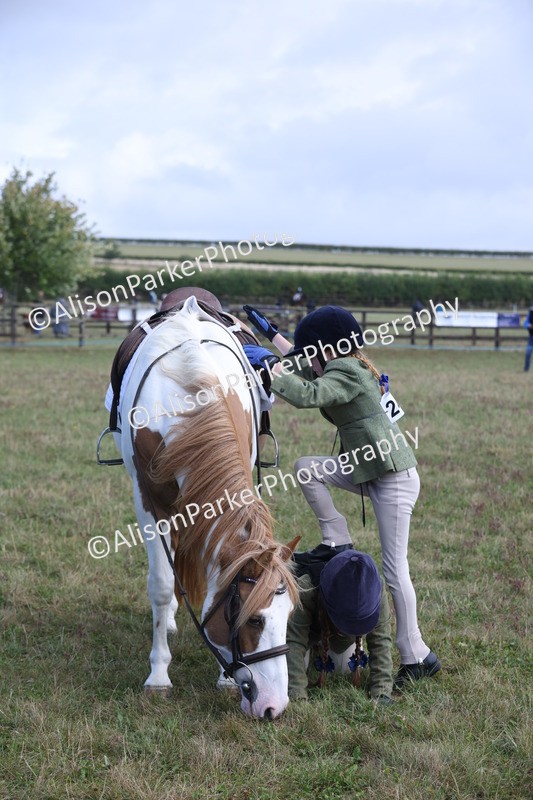 20250831-2456 - Class 16 - Family Pony