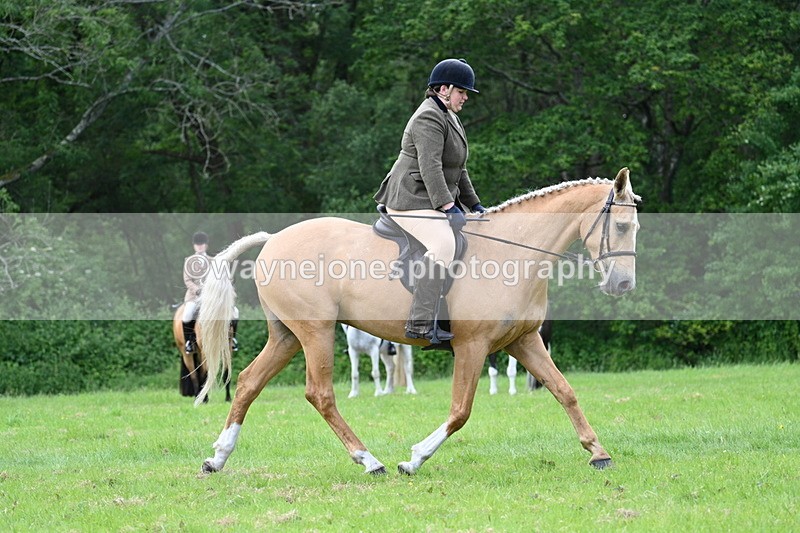WJ7_2494 - Class 12A Coloured Class
