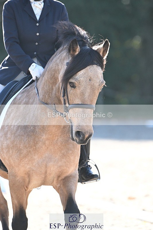 231110-120920-00595 - Cls 3 Novice 22