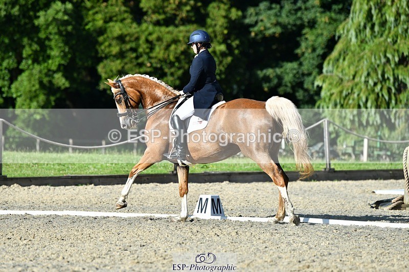 230623-181448-03193 - Cls 11 FEI PSG