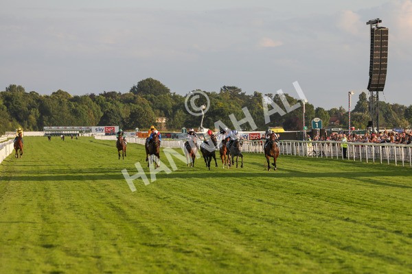 260724-Race 5-Verbier-4127 - Race 5 7.50pm British EBF Lyric Fillies' Stakes