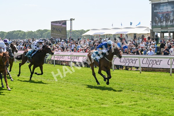 160525-Race 1-Secret Hideaway-6084 - Race 1 2.10pm Clipper EBF Marygate Fillies' Stakes