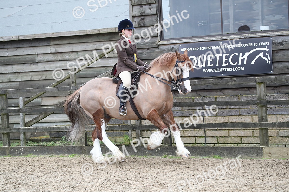 SBM_006260 - Class 10-13 - RIHS Small Large Breeds