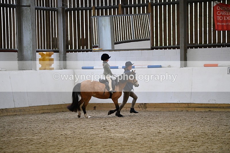 WJ5_6704 - Class 10 Childs Pony