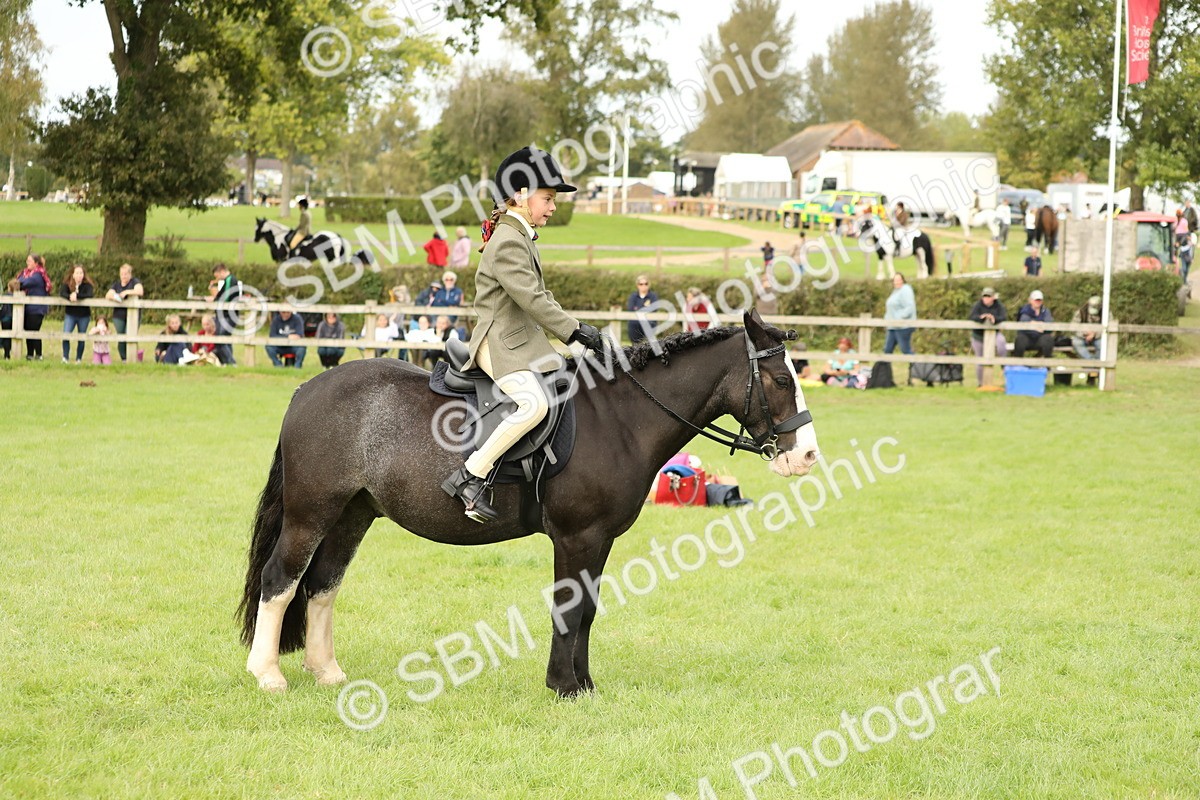 SBM_71600 - S41 - Ridden Equitation (Best Rider)