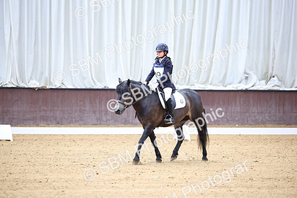 SBM_003403 - Intro 2