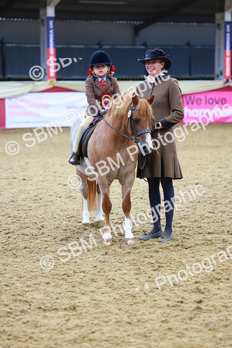 SBM_09874 - Class 102 - HOYS Veteran Qualifier - Ridden Veteran