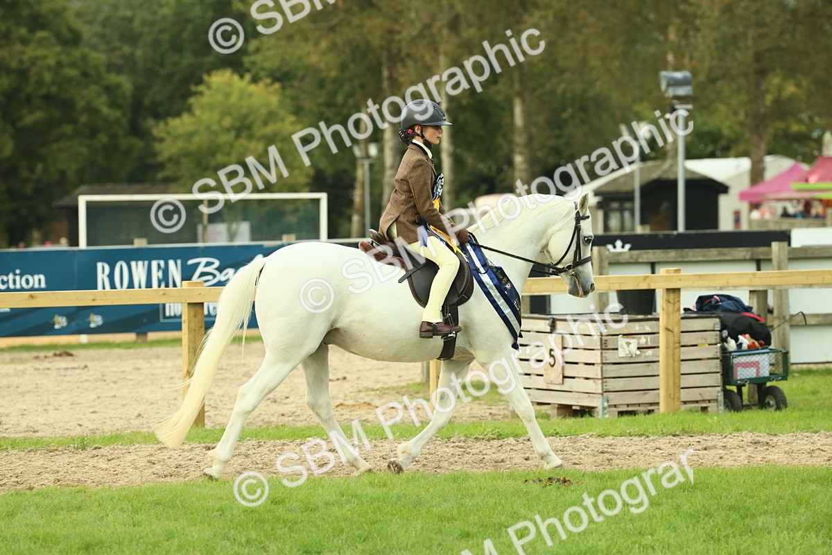 SBM_75233 - Super Supreme Championship