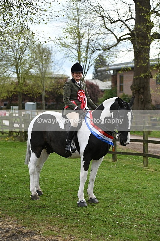 WJ7_4828 - Afternoon Champs