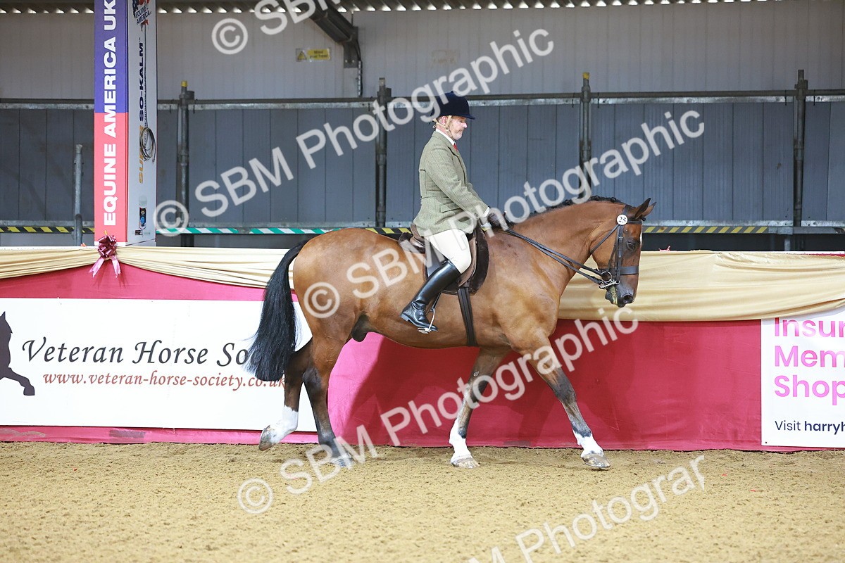 SBM_07541 - Class 101 - HOYS Veteran Qualifier - Ridden Diamond