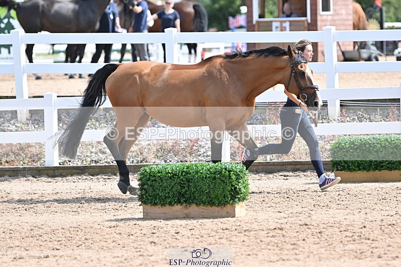 240717A-154236-03002 - Trot Up 3pm to 4pm