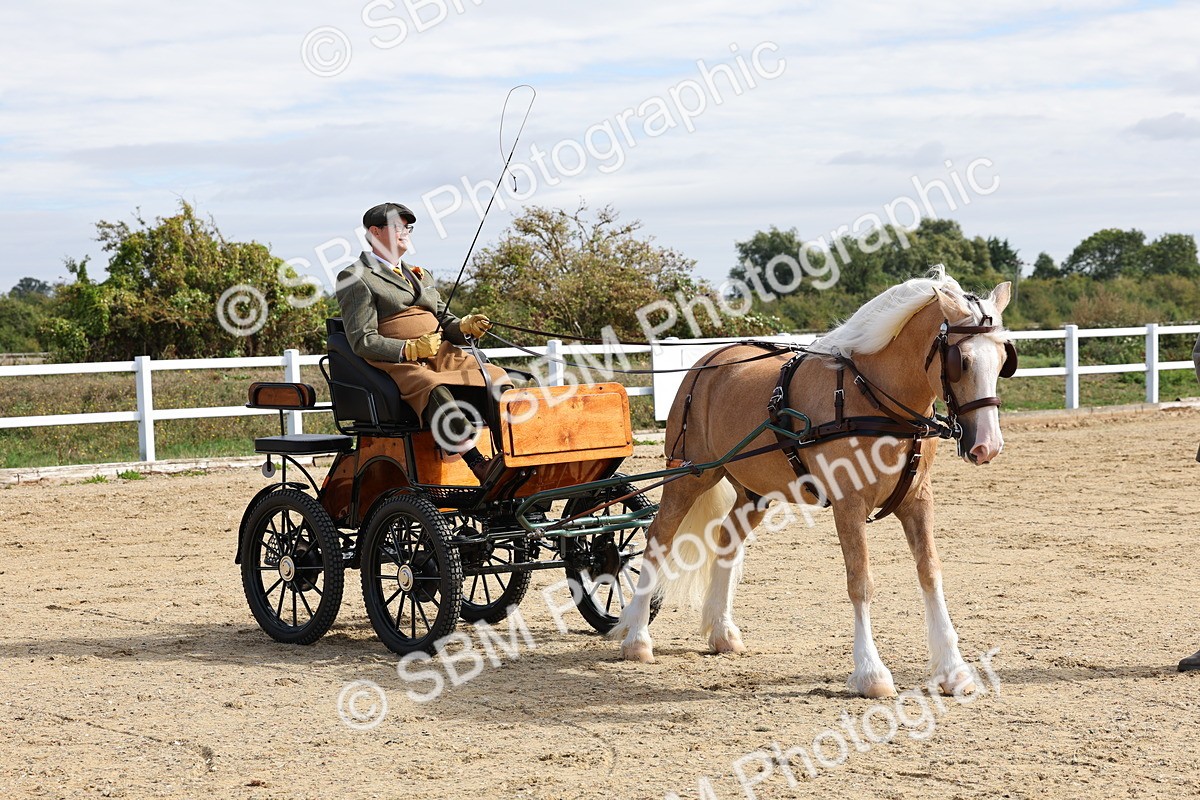 SBM_000815 - Class 6 - Exercise Vehicle 13.2 and over