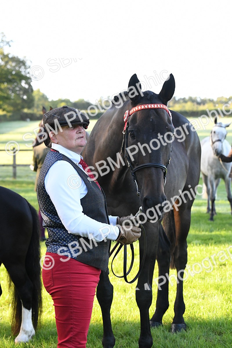 SBM_32724 - S15 - Condition & Turnout In Hand