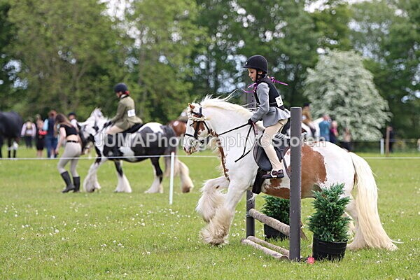 IMG_2441 - Working Hunter