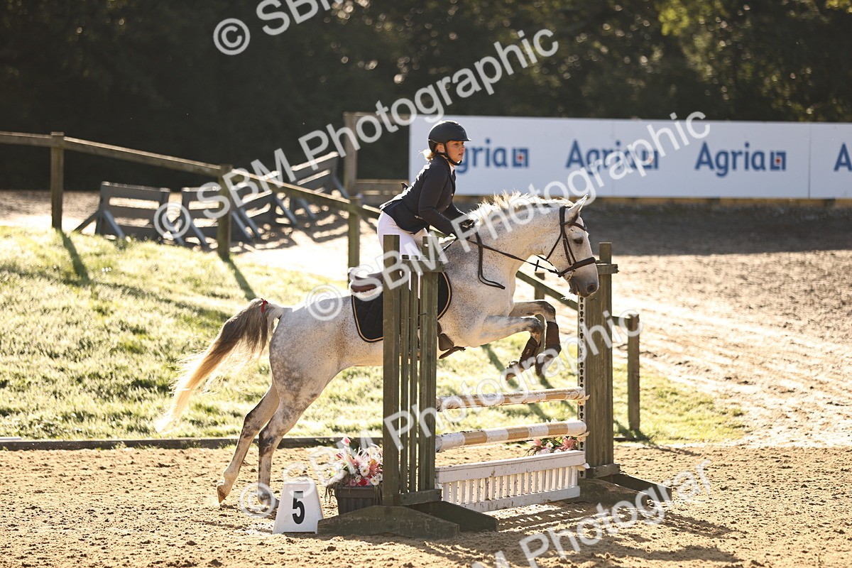 SBM_35100 - J38 - Senior 80cm Championship