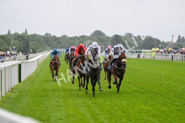 130724-Race 4-Alsakib-7457 - Race 4 3.45pm John Smith's Silver Cup Stakes