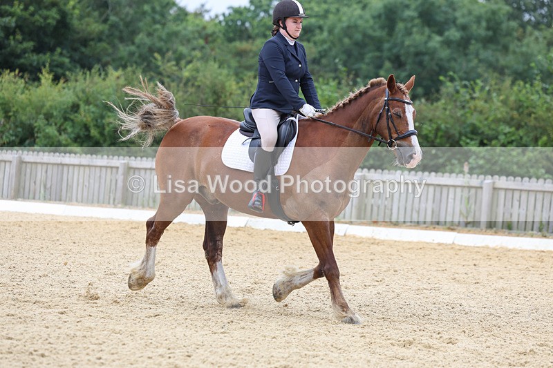 3E7A4736 - Class 1: Intro 4 2024 section A