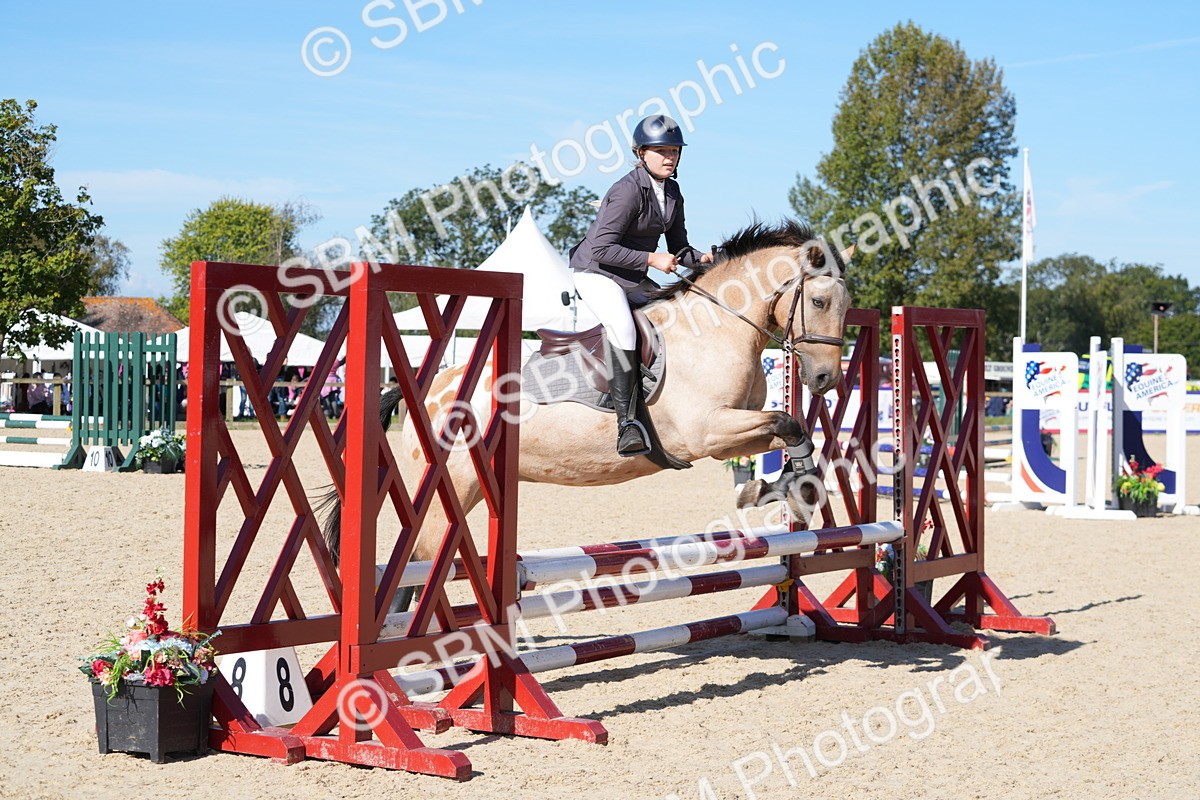 SBM_38629 - J21 - Junior Horse 60cm Championship