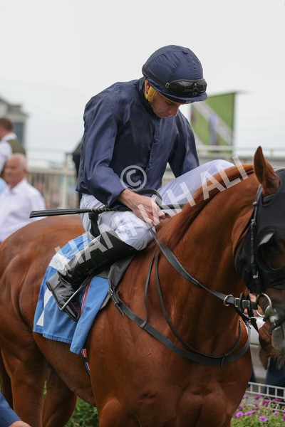 yr20082021r7-15 - Race 7 5.10pm Sky Bet Mile