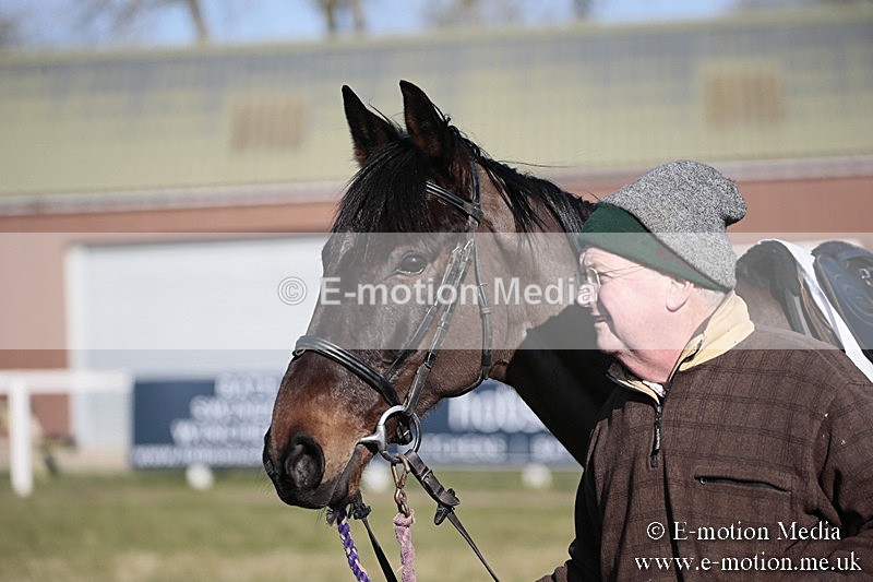 PtP 240218 438 - Vine & Craven Hunt Point-to-Point Barbury racecourse 24/02/18