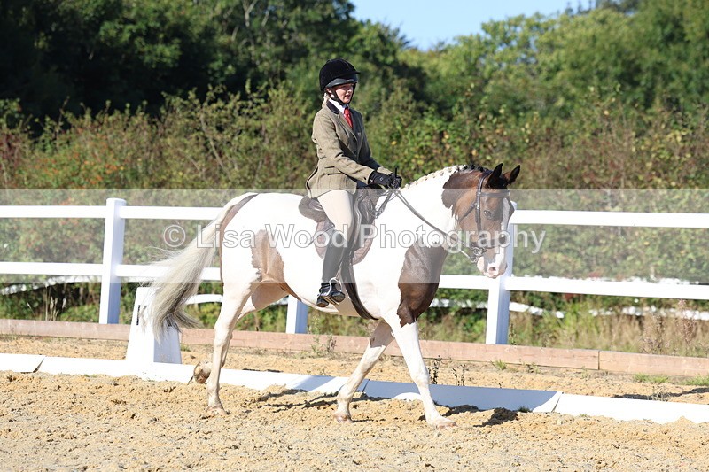 3E7A5294 - Class 8: Small Ridden Hunter