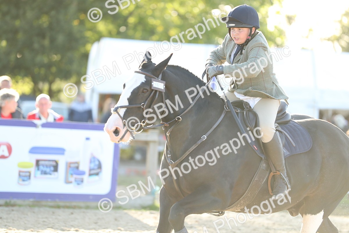SBM_54065 - J23 - Junior Horse 70cm Championship