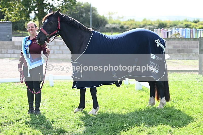 WJ7_1729 - 80cm Champs