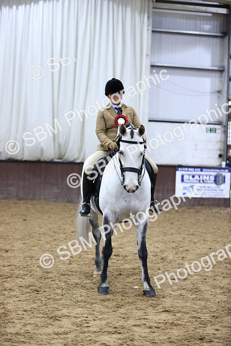 SBM_6392 - Class 45-42 - Ridden Irish Breeds-Ridden Cob