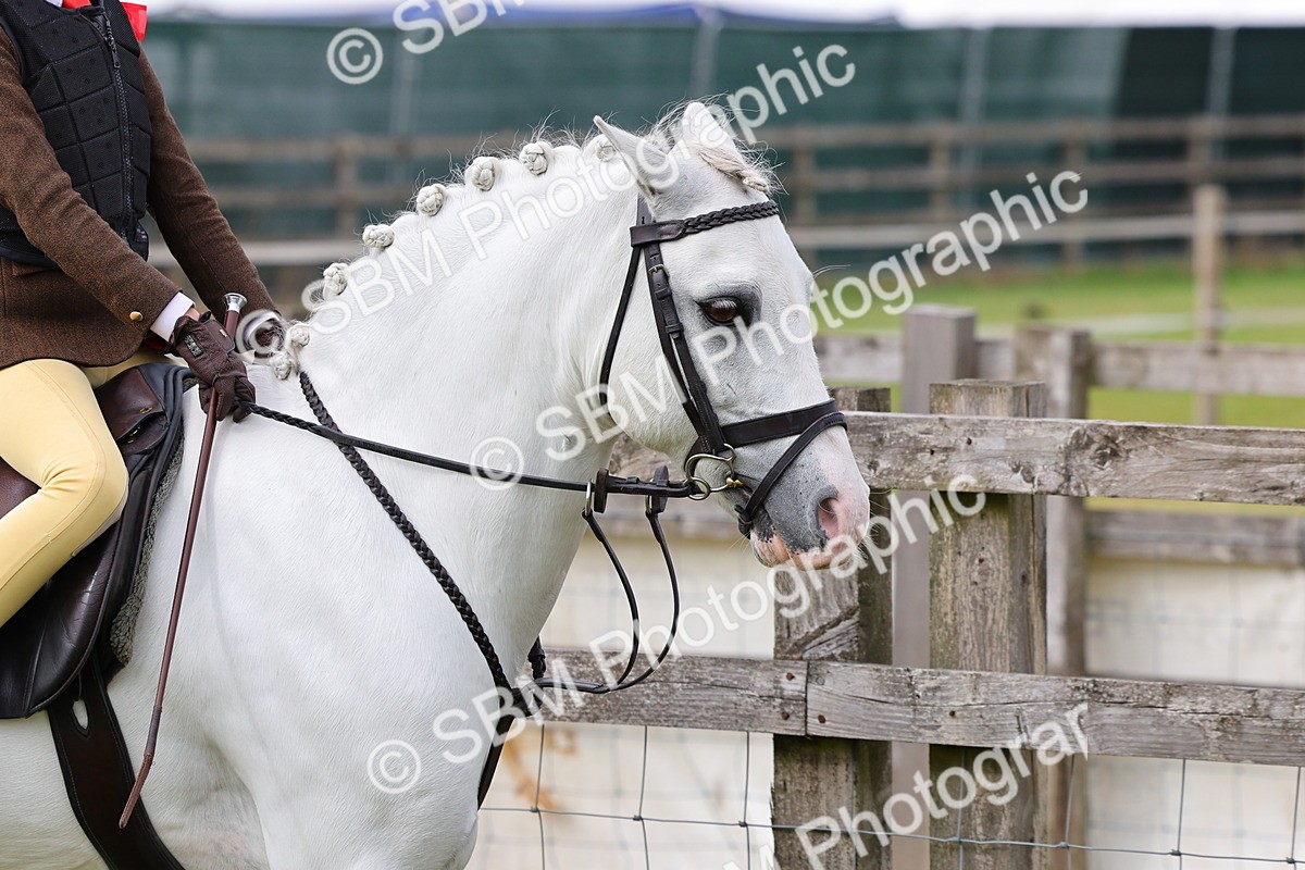 SBM_09616 - Class 44-45 - LIHS BSPS Open Nursery and Cradle Stakes