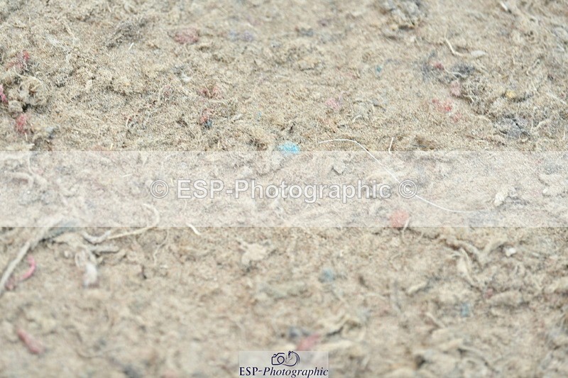 230721A-103505-05205 - Cls 30, 6 Yr Olds 1.20m